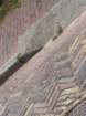euaimg_9035_small.jpg