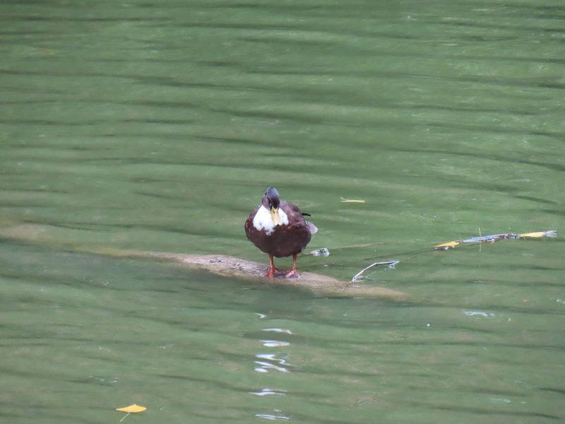 eubimg_0893.jpg