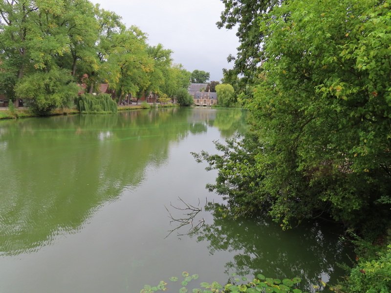 eubimg_0900.jpg