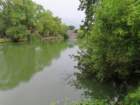 eubimg_0900_small.jpg
