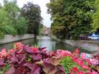 eubimg_0920_small.jpg