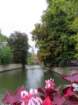 eubimg_0921_small.jpg