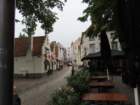 eubimg_0938_small.jpg