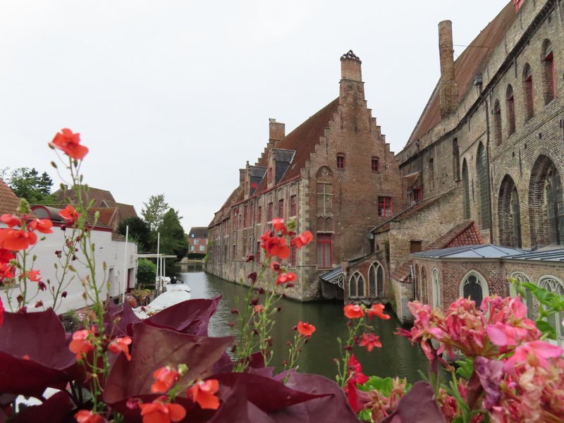 eubimg_0952.jpg