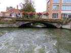eubimg_0989_small.jpg