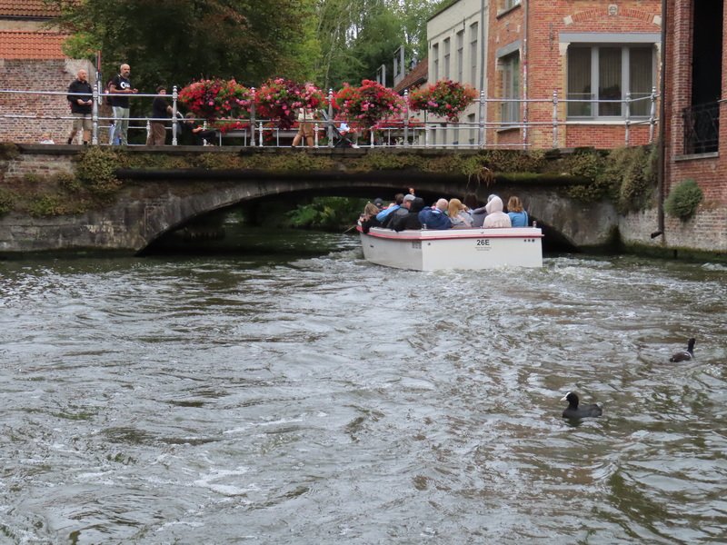 eubimg_0990.jpg