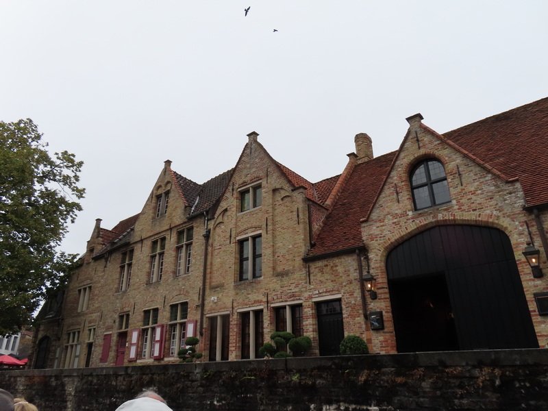 eubimg_1027.jpg