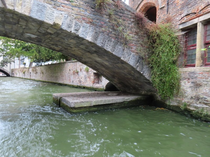 eubimg_1094.jpg