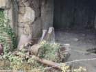 euc20260819_092212_small.jpg