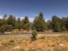 gcazcb0img_9584_small.jpg