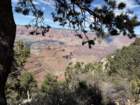 gcazcb0img_9618_small.jpg