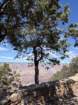 gcazcb0img_9623_small.jpg