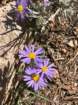 gcazcb0img_9625_small.jpg