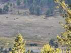 estesp20260914_182319_small.jpg