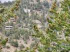 estesp20260916_165836_small.jpg