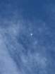 estespcb1img_0288_small.jpg