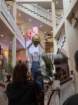 estespcb1img_0433_small.jpg