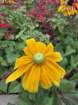 estespcb1img_0444_small.jpg