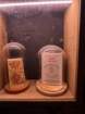 estespcb1img_0510_small.jpg