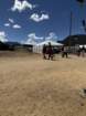 festcb1img_0189_small.jpg