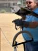 festcb1img_0199_small.jpg