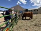 festcb1img_0211_small.jpg