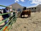 festcb1img_0213_small.jpg