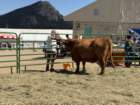 festcb1img_0219_small.jpg