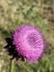 rockymcb1img_0302_small.jpg