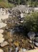 rockymcb1img_0310_small.jpg