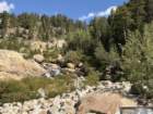 rockymcb1img_0315_small.jpg