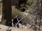 rockymcb1img_0319_small.jpg