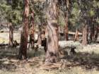 rockymcb1img_0330_small.jpg
