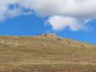 rockymcb1img_1242_small.jpg