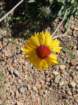 rockymcb1img_1260_small.jpg