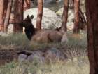 rockymcb1img_1265_small.jpg