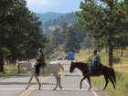 rockymcb1img_1278_small.jpg