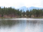 rockymcb1img_1308_small.jpg