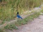 rockymcb1img_1313_small.jpg