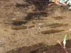 rockymcb1img_1316_small.jpg
