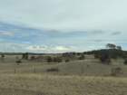 aburnscb1img_0524_small.jpg