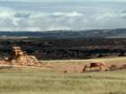 aburnscb1img_0526_small.jpg