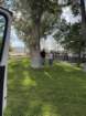 aburnscb1img_0619_small.jpg