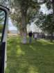 aburnscb1img_0620_small.jpg
