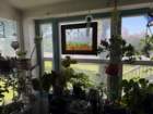 aburnscb1img_0652_small.jpg