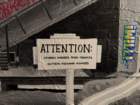 aburnscb1img_0666_small.jpg