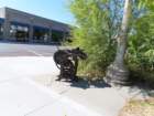 aburnscb1img_1351_small.jpg