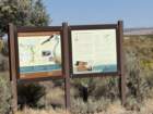 bburnscb1img_0698_small.jpg