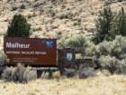 bburnscb1img_0702_small.jpg