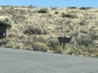 bburnscb1img_0705_small.jpg